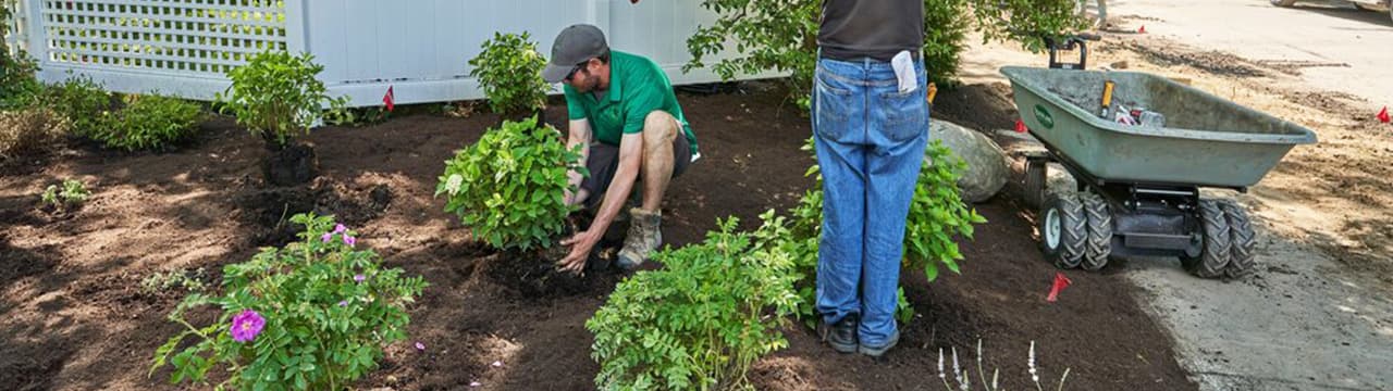 Plants and shrubs installed in Cleveland — Samson Landscape + Design