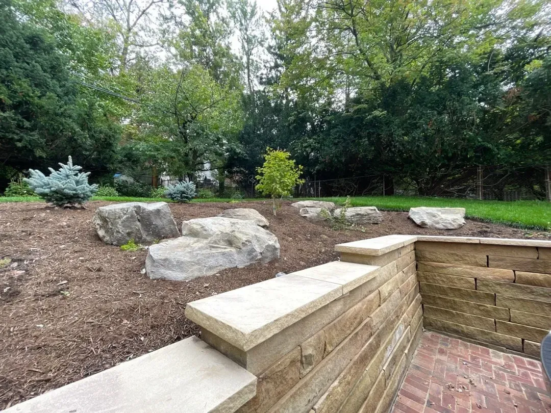 Sandstone retaining wall with a boulder-set bed and blue spruce