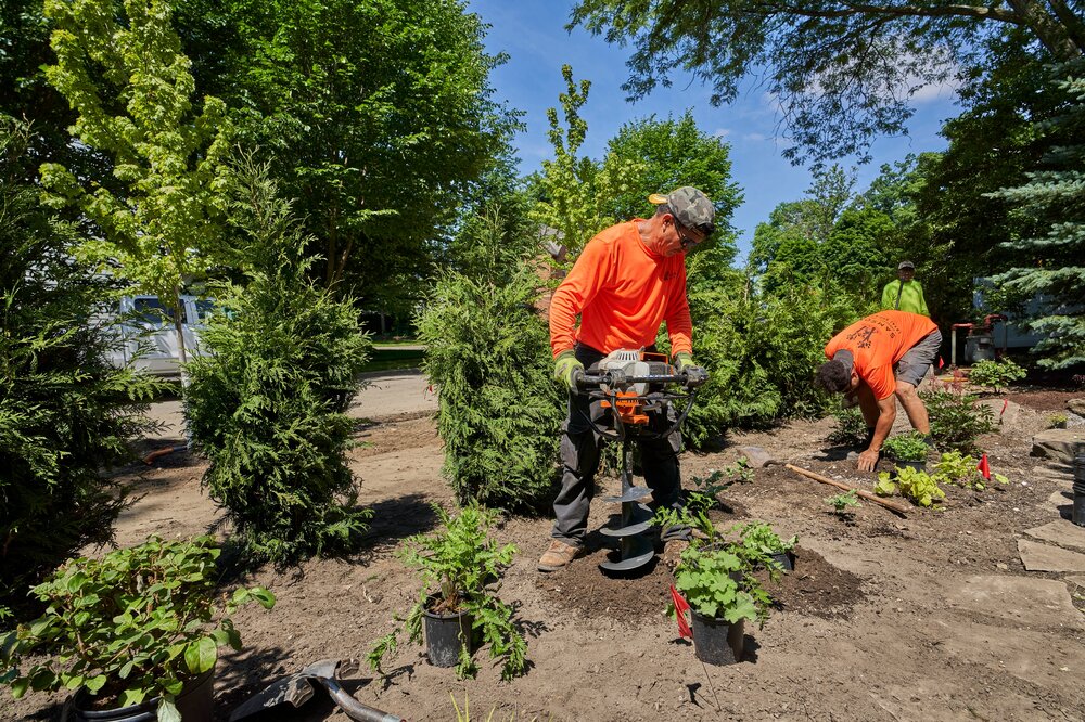 Crew augering holes for new evergreens in University Heights
