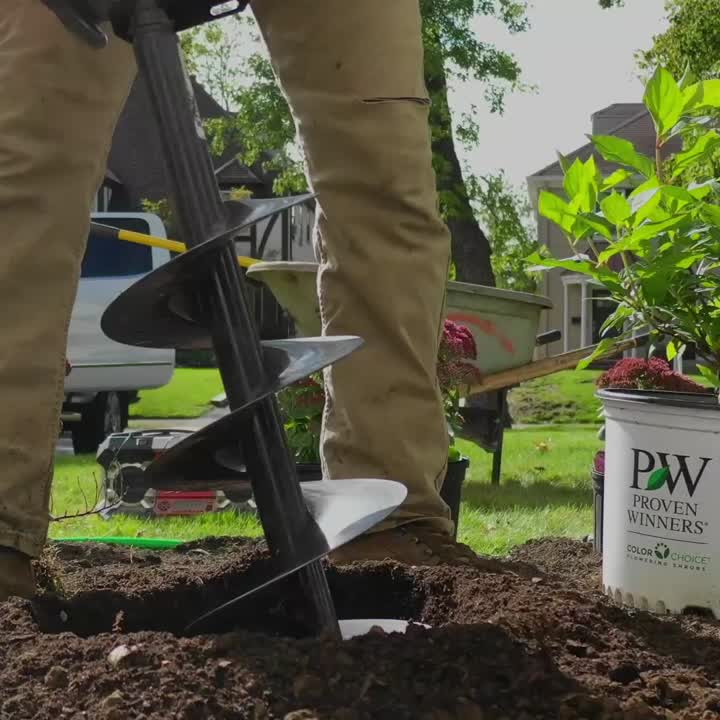 Plant Installation in Cleveland